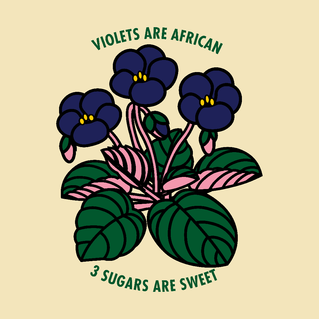 violets are african. 3 sugars are sweet